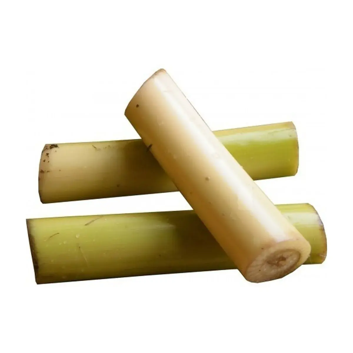 Tige de banane 550-600 g